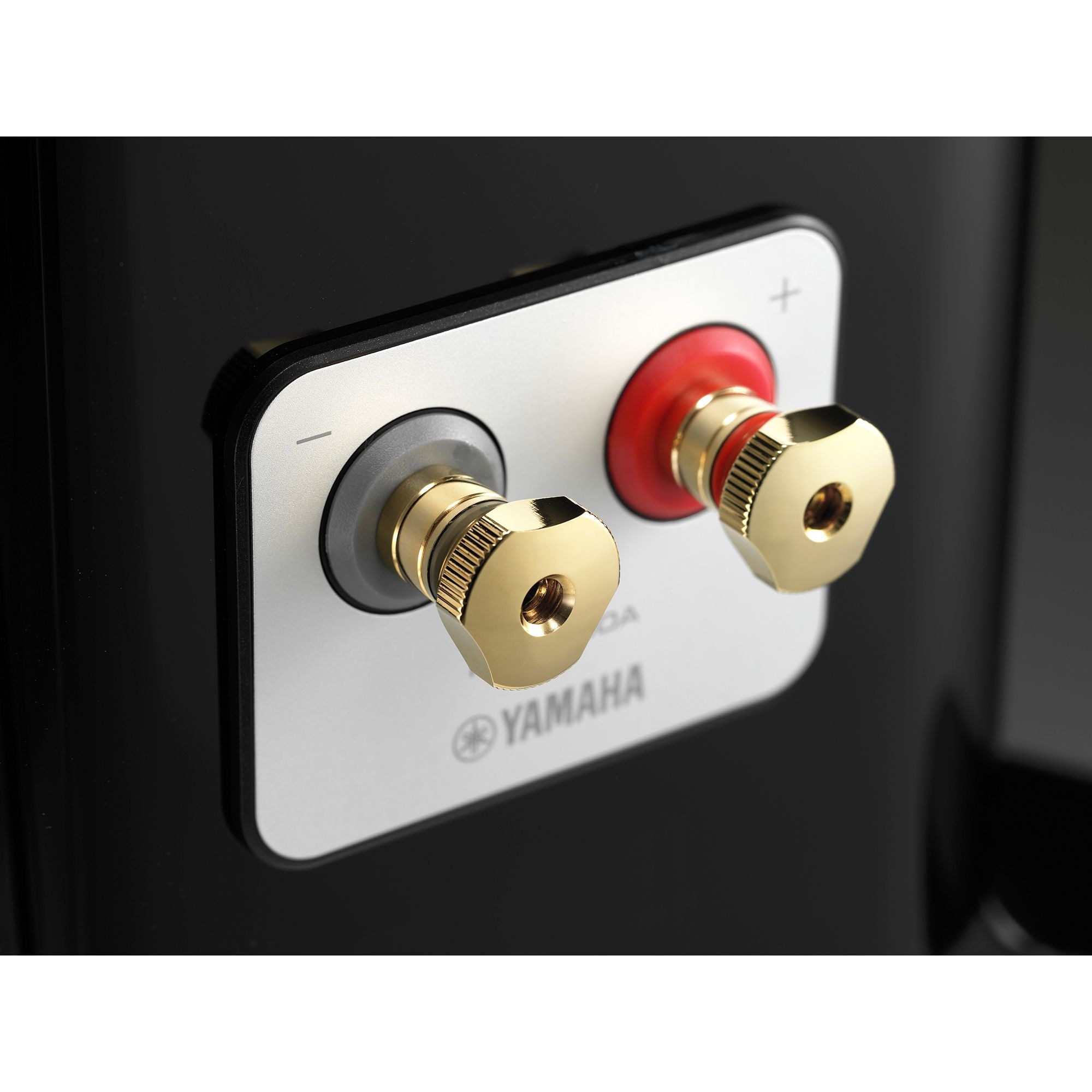 NS2000A_terminal-update_1eff07e2d8ed74ffdc0620c09d87e8f1 NS2000A_terminal-update_1eff07e2d8ed74ffdc0620c09d87e8f1