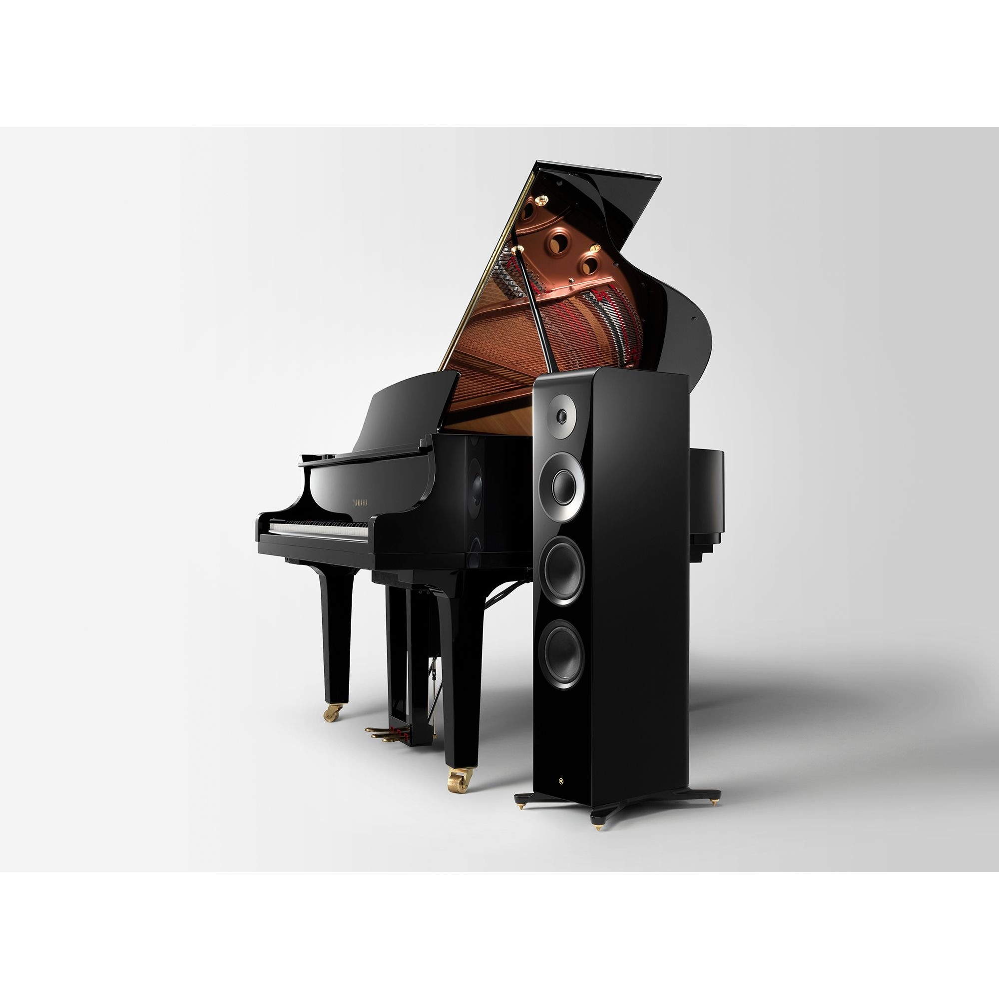 NS2000A_withpiano1-update_ea5b5a09dae5d8b5ec4c4024ed254679 NS2000A_withpiano1-update_ea5b5a09dae5d8b5ec4c4024ed254679