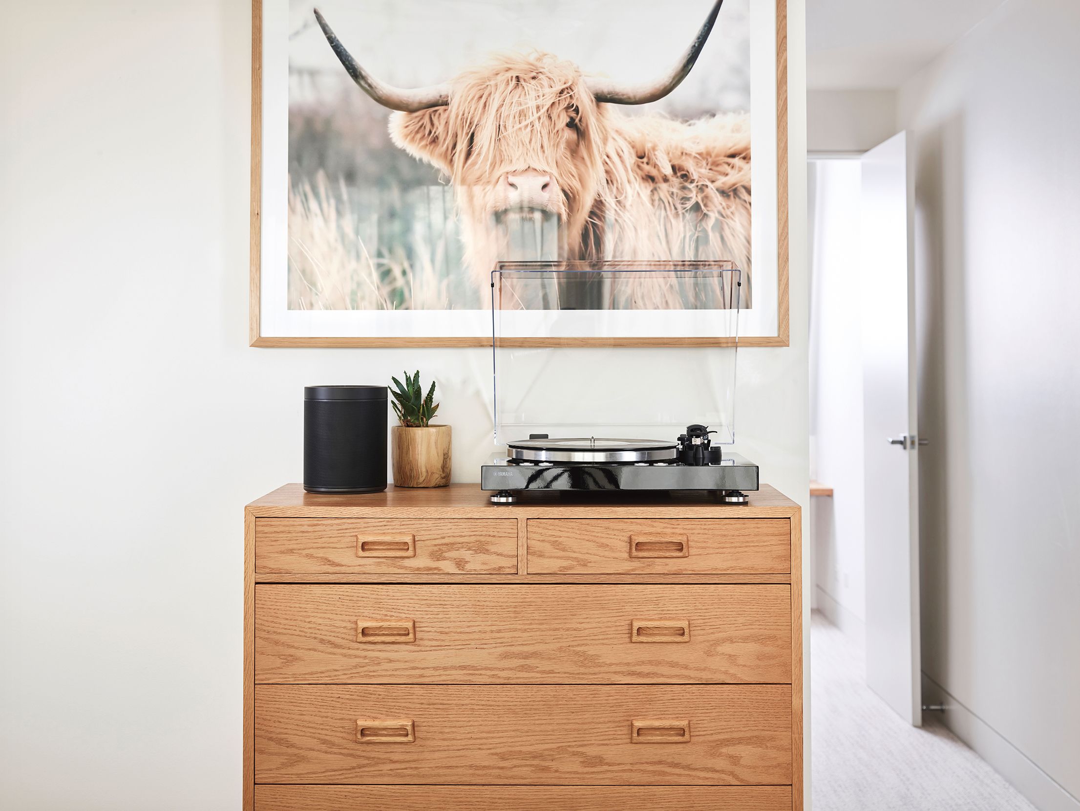 TTN503BLic3UCAKBGLEVFPS_f_2211x1659_1ec653ebb09c355d90f5e1303afc3fcc TTN503BLic3UCAKBGLEVFPS_f_2211x1659_1ec653ebb09c355d90f5e1303afc3fcc