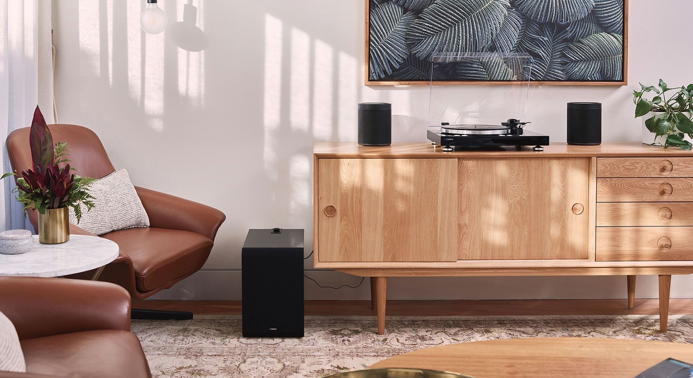 TTN503BLic19UCAKBGLEVFPS_f_2211x1658_36cdbe7c3fbda1a0d1e5521262760f3e1